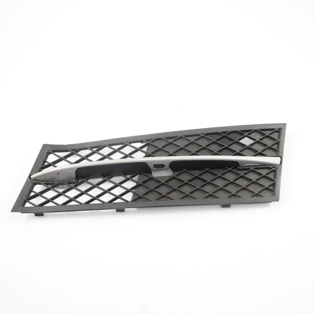 BMW F10 F11 Nebelscheinwerfer Gitter Stossfänger Vorn Links - SKU 7200699 - Teilenummer 7200699