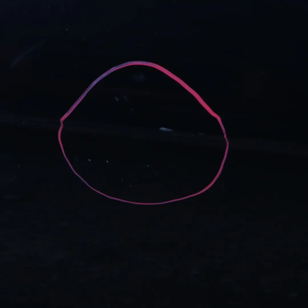 Door Rear Right O/S Covering Panel Black Sapphire Metallic - 475 to BMW E65 with Part number 7202084 BMW E65 Door Rear Right O/S Covering Panel Black Sapphire Metallic - 475 - SKU 7202084-BS - Part number 7202084