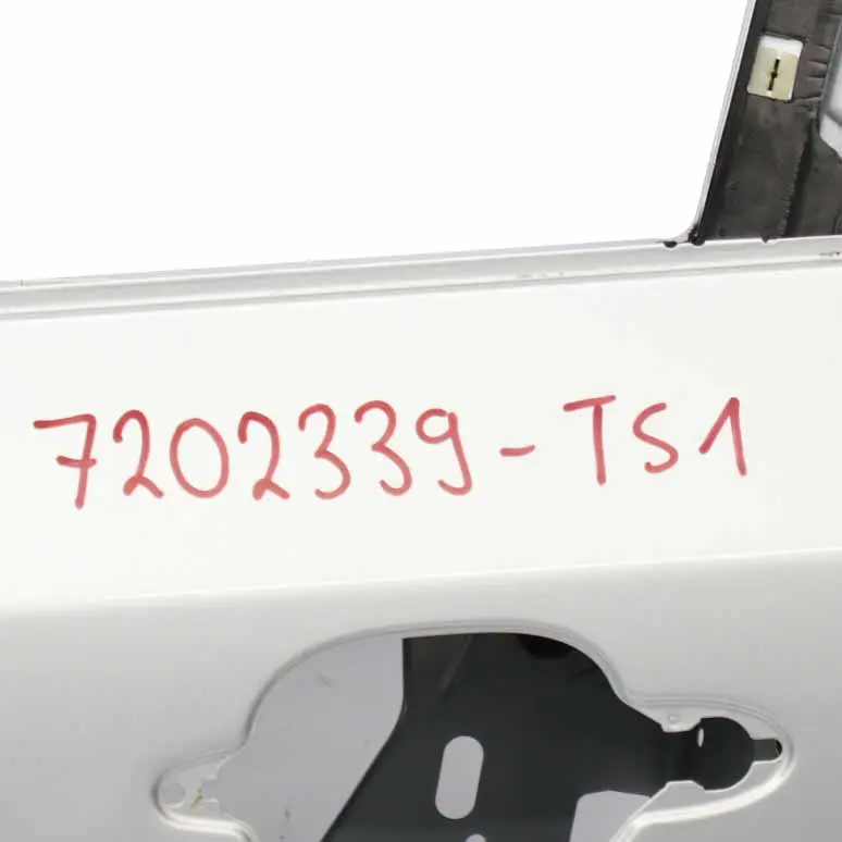 BMW E60 E61 Puerta Delantera Izquierda Titansilber Plata Metálico - 354 - SKU 7202339-TS1 - Número de pieza 7202339