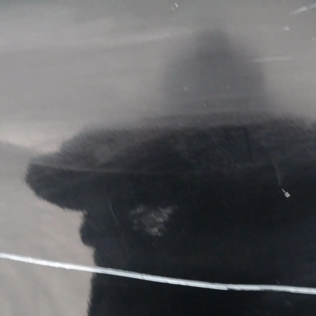 Drzwi prawe przednie schwarz II 668 do BMW E60 E61 o numerze 7202340 BMW E60 E61 Drzwi prawe przednie schwarz II 668 - SKU 7202340-SCH2 - Numer Części 7202340