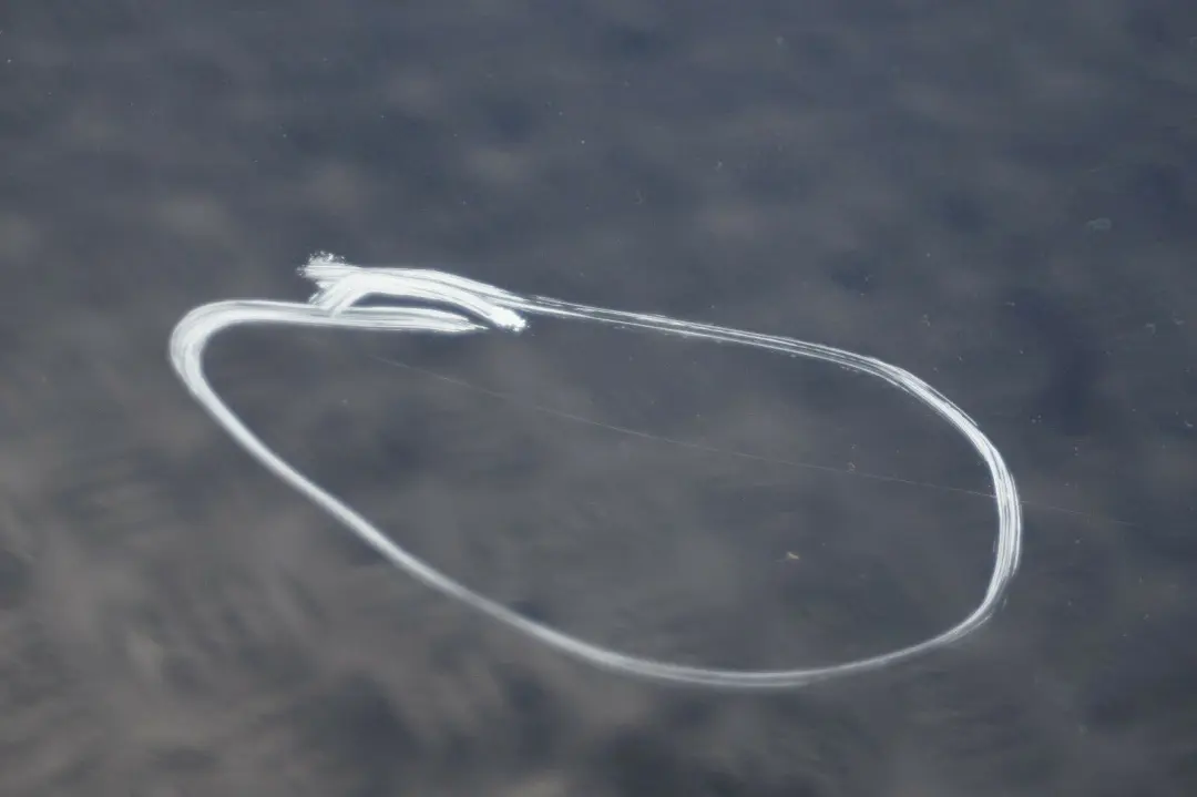 GenuineBMW 2 E60 E60N Puerta Trasera Derecha Mysticblau Mystic Blue A07 para con número de pieza 7202342 GenuineBMW 2 E60 E60N Puerta Trasera Derecha Mysticblau Mystic Blue A07 - SKU 7202342-MYS2 - Número de pieza 7202342