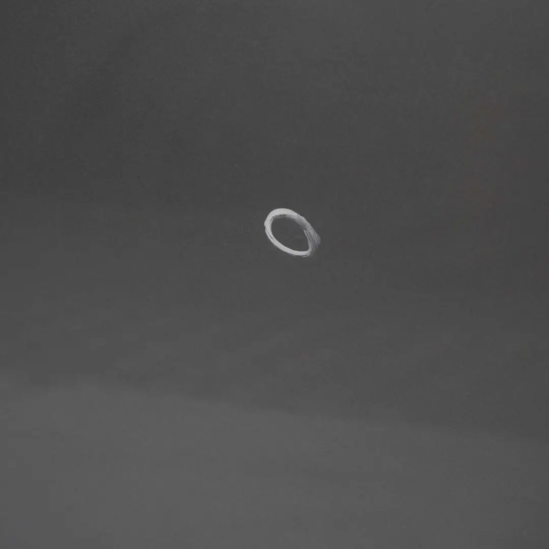 Portiera Posteriore Destra Grigio Argento Metallizzato - A08 per BMW E60 con numero di parte 7202342 BMW E60 Portiera Posteriore Destra Grigio Argento Metallizzato - A08 - SKU 7202342-SBG - Numero di parte 7202342