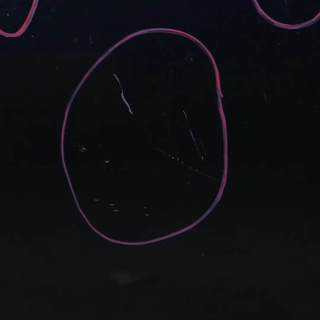 Front Door Mini R50 R52 R53 Cooper One Left N/S Astro Black Metallic - A25 to with Part number 7202911 Front Door Mini R50 R52 R53 Cooper One Left N/S Astro Black Metallic - A25 - SKU 7202911-ASB1 - Part number 7202911