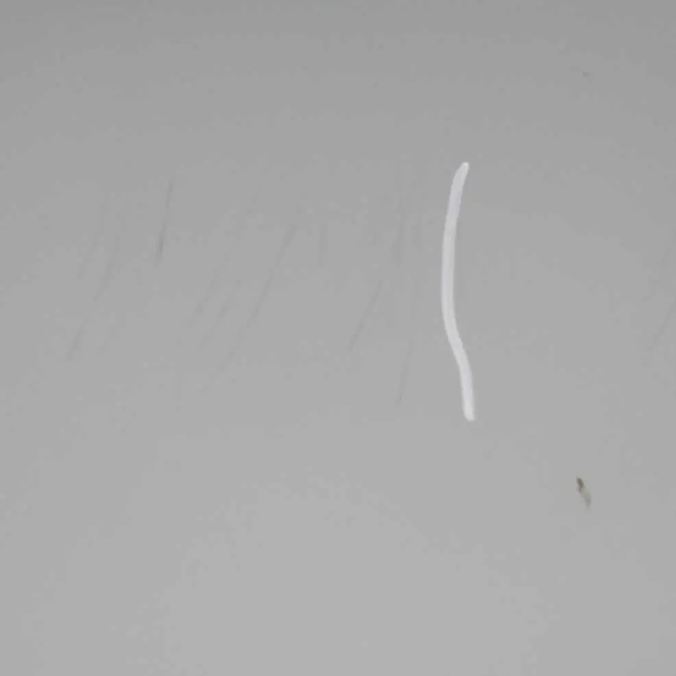 Puerta Delantera Derecha Plata Puro Metalizado - 900 para Mini Cooper R50 R52 R53 con número de pieza 7202912 Mini Cooper R50 R52 R53 Puerta Delantera Derecha Plata Puro Metalizado - 900 - SKU 7202912-PS2 - Número de pieza 7202912