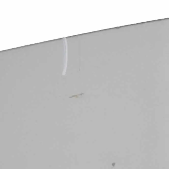 Mini Cooper R50 R52 R53 Vordere rechte Tür Pure Silver Metallic - 900 - SKU 7202912-PS2 - Teilenummer 7202912