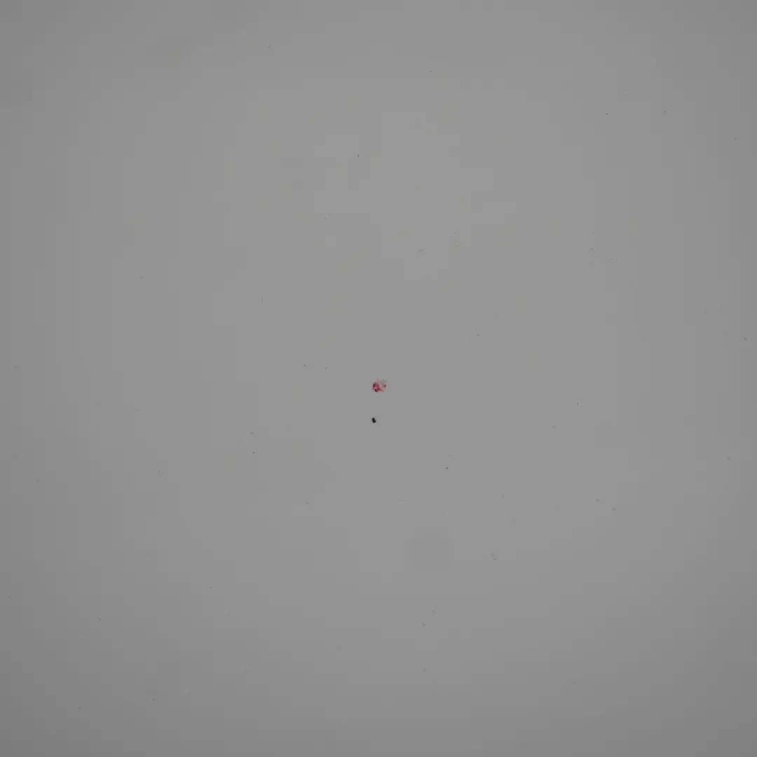 Porta anteriore destra Pepper White - 850 per Mini Cooper R50 R52 R53 con numero di parte 7202912 Mini Cooper R50 R52 R53 Porta anteriore destra Pepper White - 850 - SKU 7202912-PW1 - Numero di parte 7202912