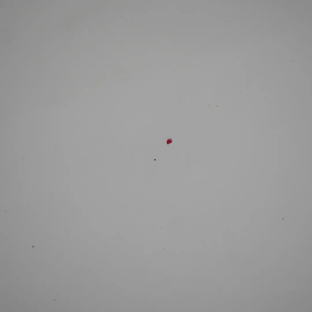 Puerta Delantera Derecha Pepper Blanco - 850 para Mini Cooper R50 R52 R53 con número de pieza 7202912 Mini Cooper R50 R52 R53 Puerta Delantera Derecha Pepper Blanco - 850 - SKU 7202912-PW1 - Número de pieza 7202912