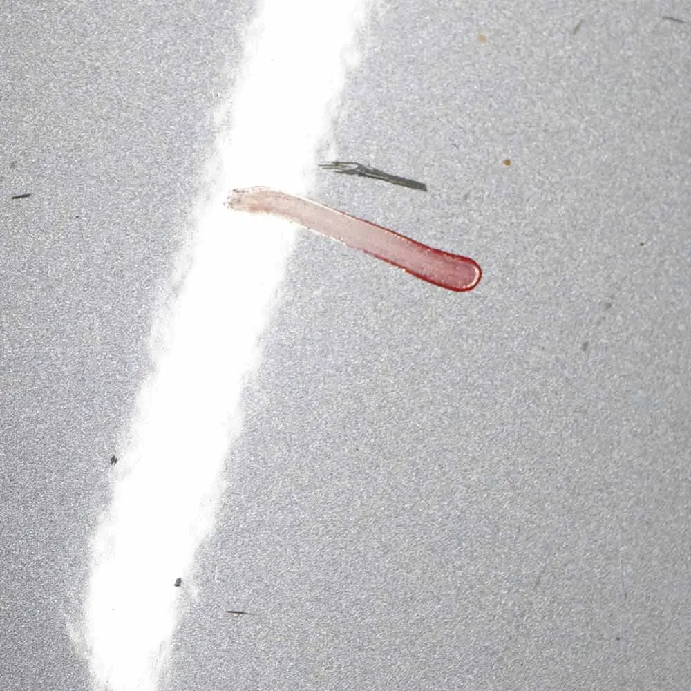 Tür Vorne Rechts Spacegrau Space Grau Metallic - A52 für BMW E90 E91 mit Teilenummer 7203644 BMW E90 E91 Tür Vorne Rechts Spacegrau Space Grau Metallic - A52 - SKU 7203644-SCG1 - Teilenummer 7203644