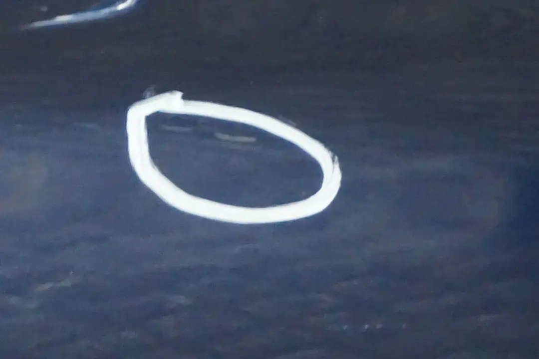 Puerta Trasera Derecha Tiefseeblau Deep Sea Blue Metallic - A76 para BMW E90 1 con número de pieza 7203648 BMW E90 1 Puerta Trasera Derecha Tiefseeblau Deep Sea Blue Metallic - A76 - SKU 7203648-DSB1 - Número de pieza 7203648