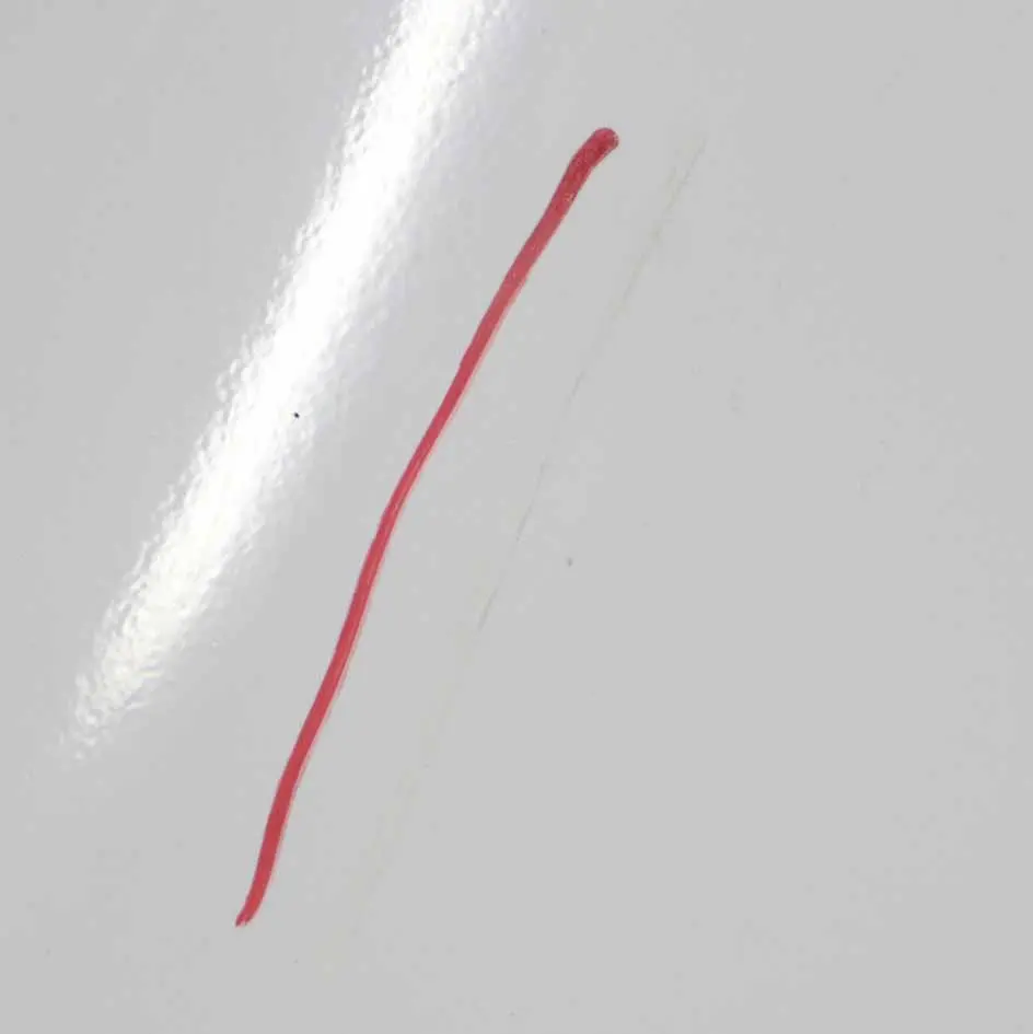 BMW E91 Touring Door Rear Left N/S Alpinweiss Alpine White 3 - 300 - SKU 7203675-AW1 - Part number 7203675