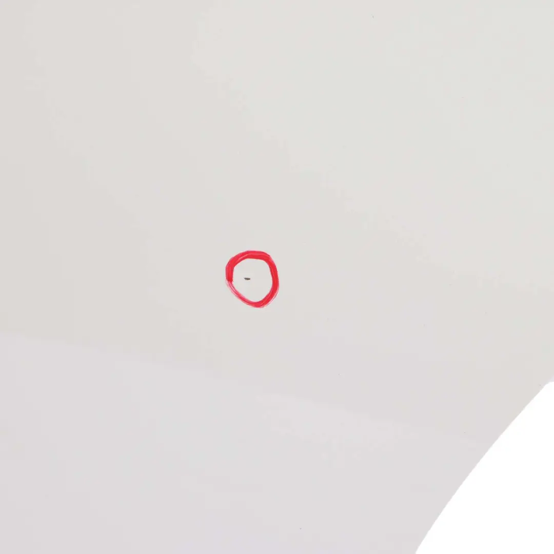 Door Rear Left N/S Alpinweiss Alpine White 3 - 300 to BMW 3 E91 Touring with Part number 7203675 BMW 3 E91 Touring Door Rear Left N/S Alpinweiss Alpine White 3 - 300 - SKU 7203675-AW - Part number 7203675