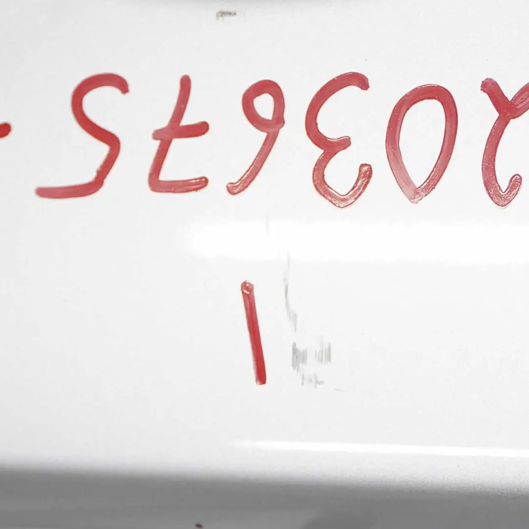 Porta Posteriore SX Argento-Titanio Argento Metallizzato - per BMW E91 Touring con numero di parte 7203675 BMW E91 Touring Porta Posteriore SX Argento-Titanio Argento Metallizzato - - SKU 7203675-TS2 - Numero di parte 7203675