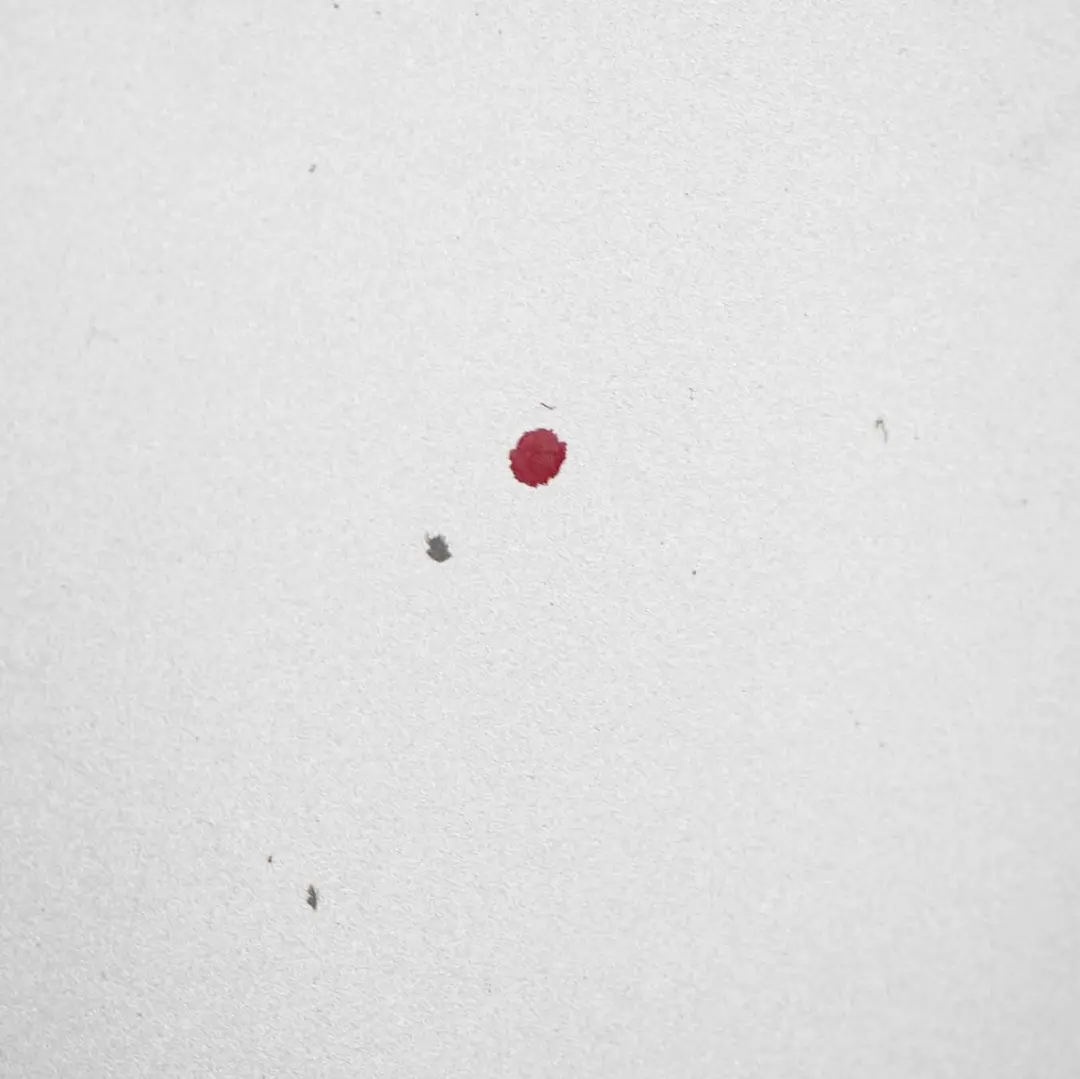 Drzwi Prawe Tylne Prawy Tył Titansilber do BMW E91 o numerze 7203676 BMW E91 Drzwi Prawe Tylne Prawy Tył Titansilber - SKU 7203676-TS3 - Numer Części 7203676