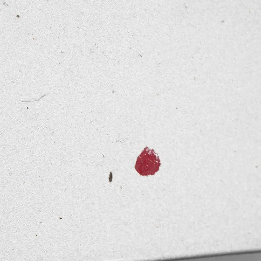 Porta posteriore destra Titansilber Titan Silver Metallic - 354 per BMW E91 Touring con numero di parte 7203676 BMW E91 Touring Porta posteriore destra Titansilber Titan Silver Metallic - 354 - SKU 7203676-TS3 - Numero di parte 7203676