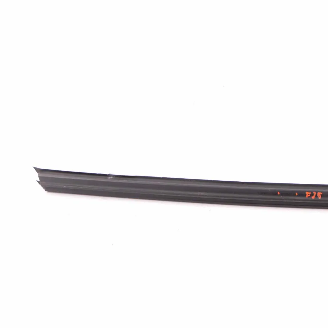 BMW X3 F25 Canale Interno Striscia Rivestimento Porta Anteriore Sinistra - SKU 7205717 - Numero di parte 7205717