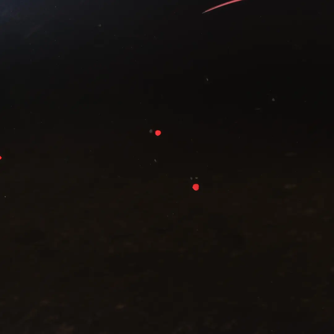 Door Rear Right O/S Saloon Imperial Blue Metallic - A89 to BMW F10 with Part number 7206114 BMW F10 Door Rear Right O/S Saloon Imperial Blue Metallic - A89 - SKU 7206114-IBB - Part number 7206114