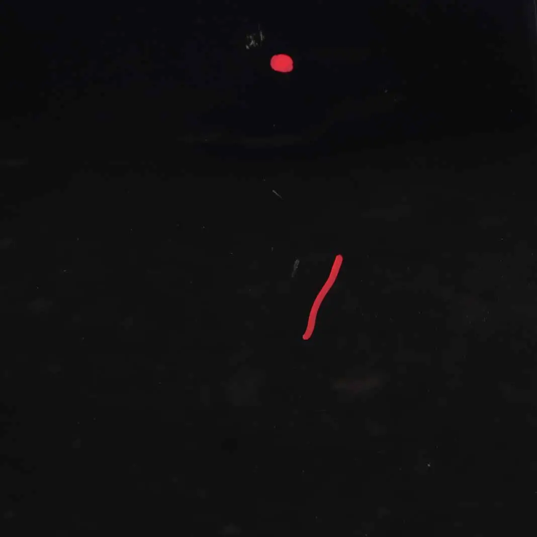 Door Rear Right O/S Saloon Imperial Blue Metallic - A89 to BMW F10 with Part number 7206114 BMW F10 Door Rear Right O/S Saloon Imperial Blue Metallic - A89 - SKU 7206114-IBB - Part number 7206114