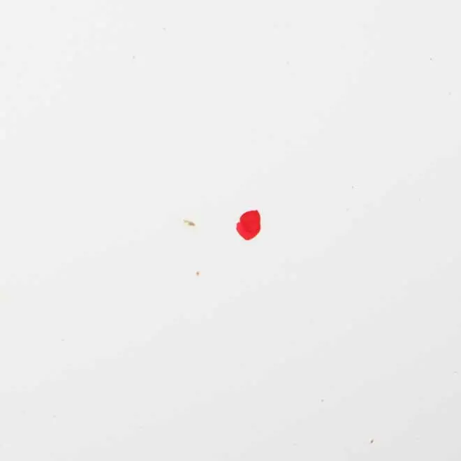 Door Rear Right Panel O/S Touring Alpinweiss Alpine White - 300 to BMW F11 with Part number 7206120 BMW F11 Door Rear Right Panel O/S Touring Alpinweiss Alpine White - 300 - SKU 7206120-AW - Part number 7206120