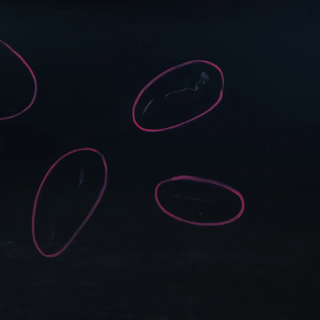 Door Front Right O/S BMW F07 GT Black Sapphire Metallic - 475 to with Part number 7206439 Door Front Right O/S BMW F07 GT Black Sapphire Metallic - 475 - SKU 7206440-BS - Part number 7206439