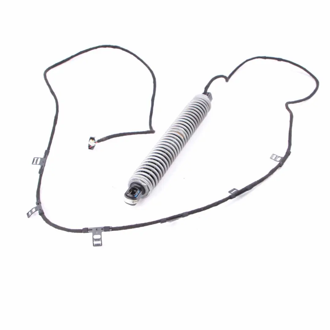 Fuso trasmissione posteriore sinistro Portellone Boot Automatico Baule per BMW F10 con numero di parte 7207009 BMW F10 Fuso trasmissione posteriore sinistro Portellone Boot Automatico Baule - SKU 7207009 - Numero di parte 7207009