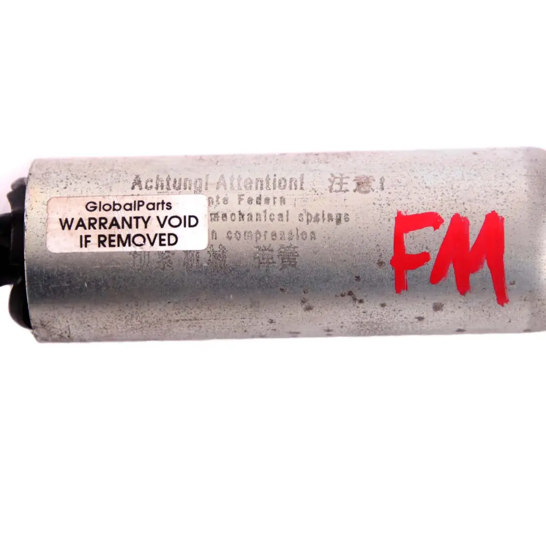 BMW F11 Automatico Portellone bagagliaio Sollevamento Elettrico Molla Mandrino - SKU 7207015 - Numero di parte 7207015