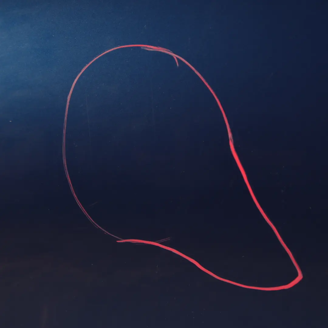 BMW 1 E81 E82 E88 2 Door Front Left N/S Le Mans Blau Blue Metallic - 381 - SKU 7207445-LMB2 - Part number 7207445