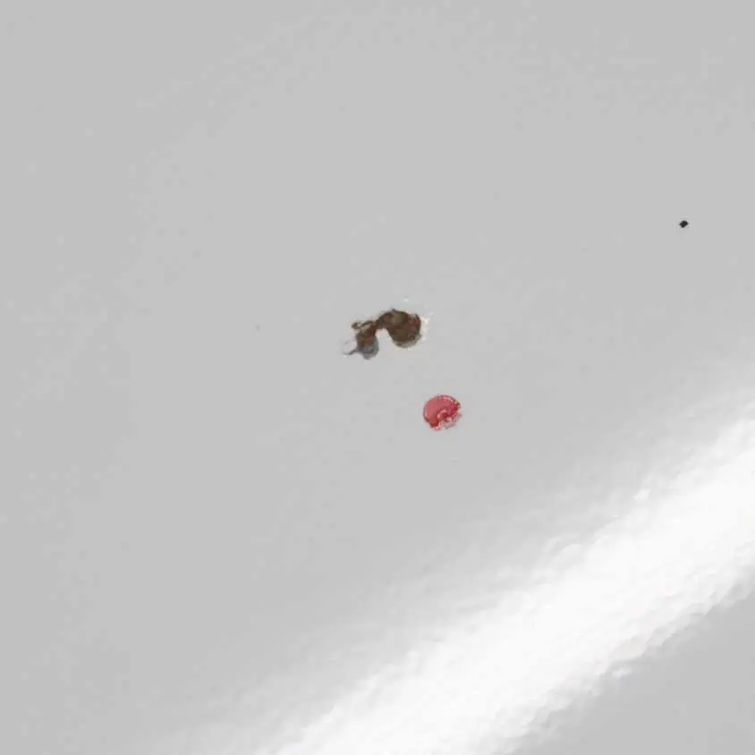 Tür Vorne Links Alpinweiss 3 Alpin Weiss 3 - 300 für BMW X5 E70 mit Teilenummer 7211423 BMW X5 E70 Tür Vorne Links Alpinweiss 3 Alpin Weiss 3 - 300 - SKU 7211423-AW1 - Teilenummer 7211423