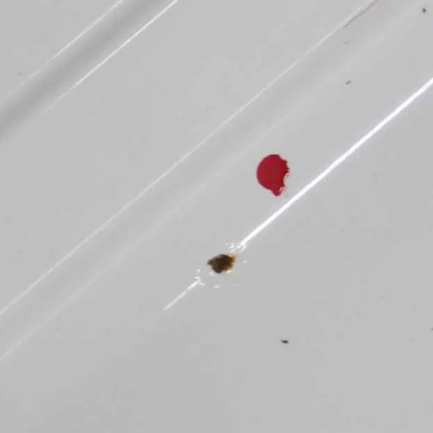 Tür Vorne Links Alpinweiss 3 Alpin Weiss 3 - 300 für BMW X5 E70 mit Teilenummer 7211423 BMW X5 E70 Tür Vorne Links Alpinweiss 3 Alpin Weiss 3 - 300 - SKU 7211423-AW1 - Teilenummer 7211423