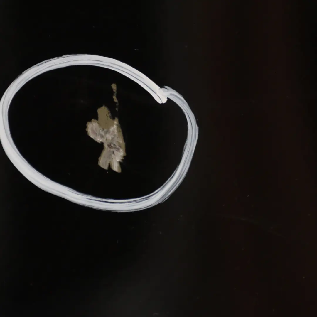 Puerta Delantera Derecha Rubinschwarz Negro Rubí Metalizado - S23 para BMW X5 E70 con número de pieza 7211424 BMW X5 E70 Puerta Delantera Derecha Rubinschwarz Negro Rubí Metalizado - S23 - SKU 7211424-RUB - Número de pieza 7211424