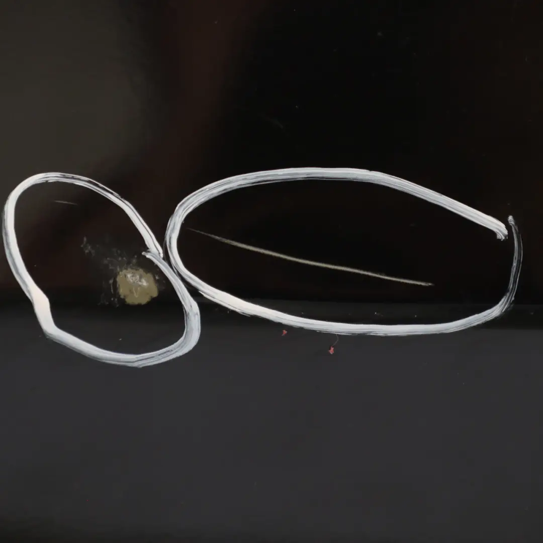 BMW X5 E70 Puerta Delantera Derecha Rubinschwarz Negro Rubí Metalizado - S23 - SKU 7211424-RUB - Número de pieza 7211424