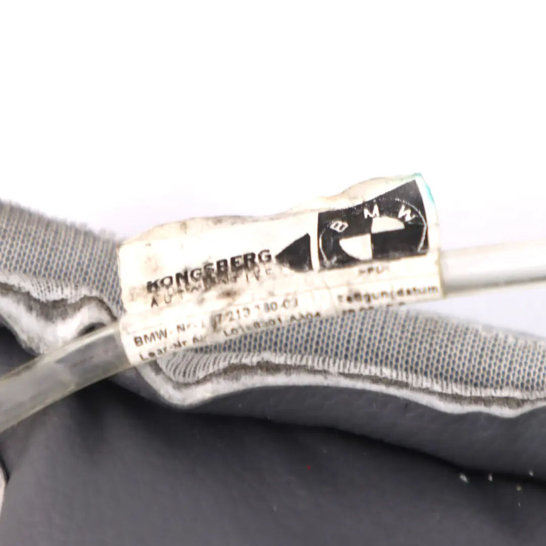 BMW Z4 E89 Vorder sitz Lordose Lendenwirbelstütze Pumpe Steuergerät - SKU 7213760 - Teilenummer 7213760