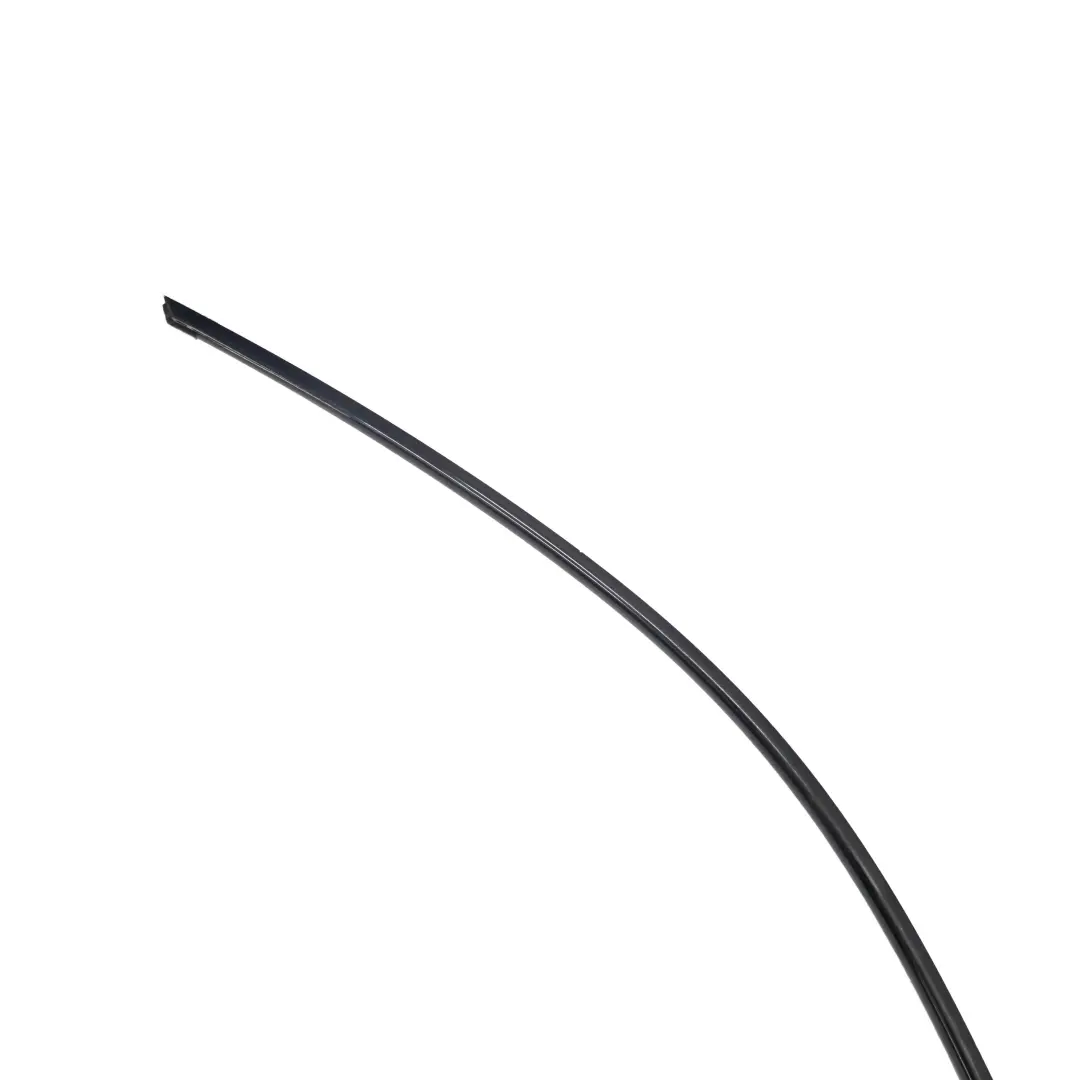 Left N/S Moulding Trim Strip Side Frame Glanzschwarz to BMW 3 E91 Touring with Part number 7220199 BMW 3 E91 Touring Left N/S Moulding Trim Strip Side Frame Glanzschwarz - SKU 7220199 - Part number 7220199