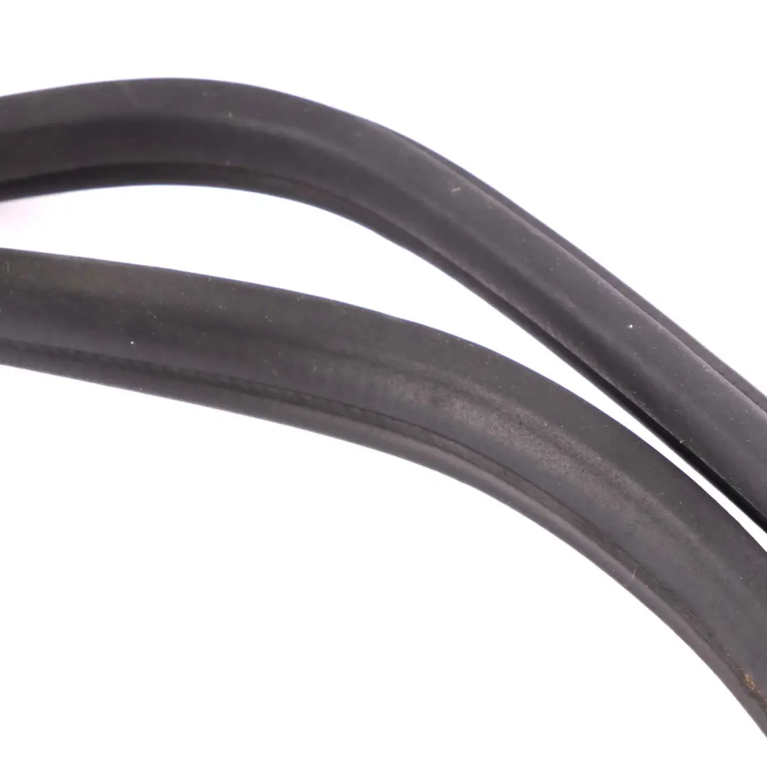  Guarnizione porta BMW X5 E70 paraspruzzi posteriore sinistra destra Nero - SKU 7220382 - Numero di parte 7220382