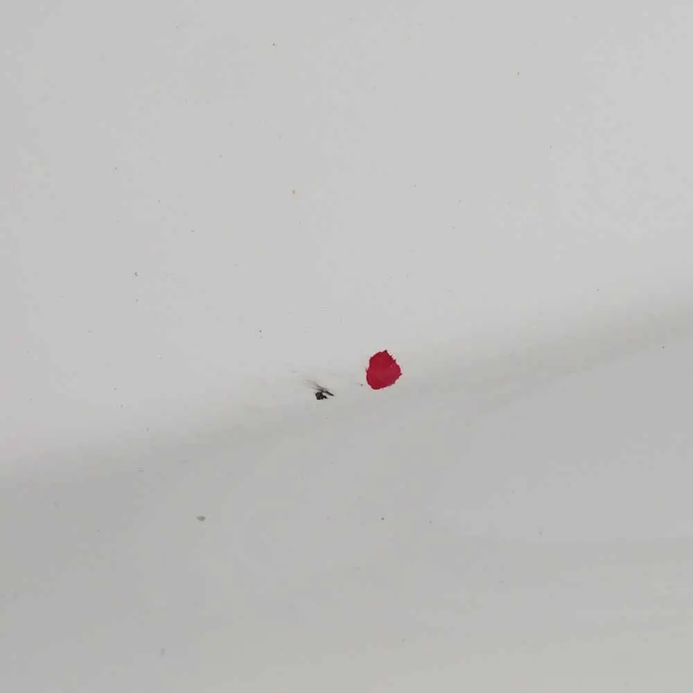 Klapa Bagażnika Alpinweiss - 300 do BMW Z4 E89 o numerze 7222079 BMW Z4 E89 Klapa Bagażnika Alpinweiss - 300 - SKU 7222079-AW - Numer Części 7222079