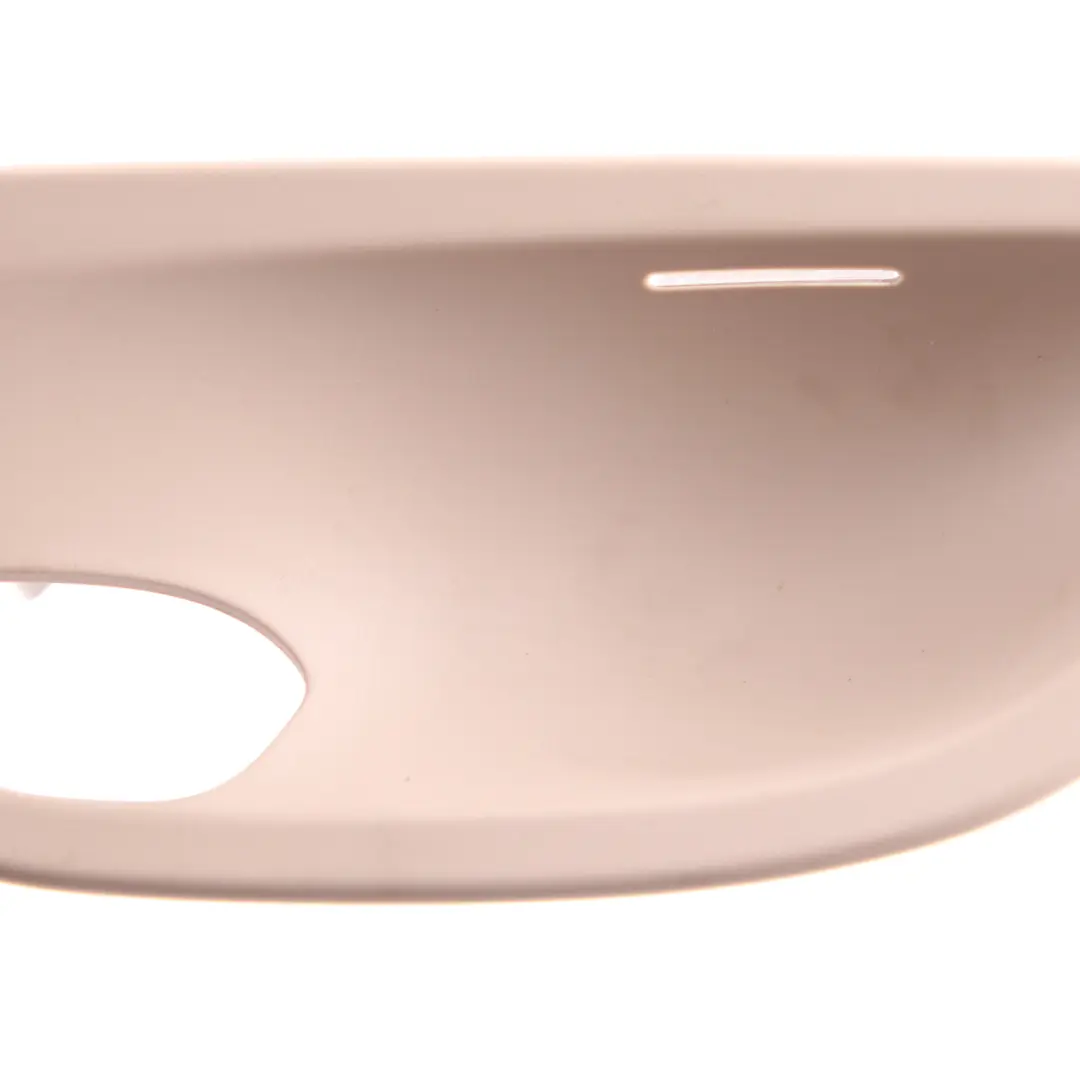 Embellecedor Tirador Interior Puerta Delantera Izquierda Venetobeige para BMW F10 F11 con número de pieza 7226365 BMW F10 F11 Embellecedor Tirador Interior Puerta Delantera Izquierda Venetobeige - SKU 7226365 - Número de pieza 7226365