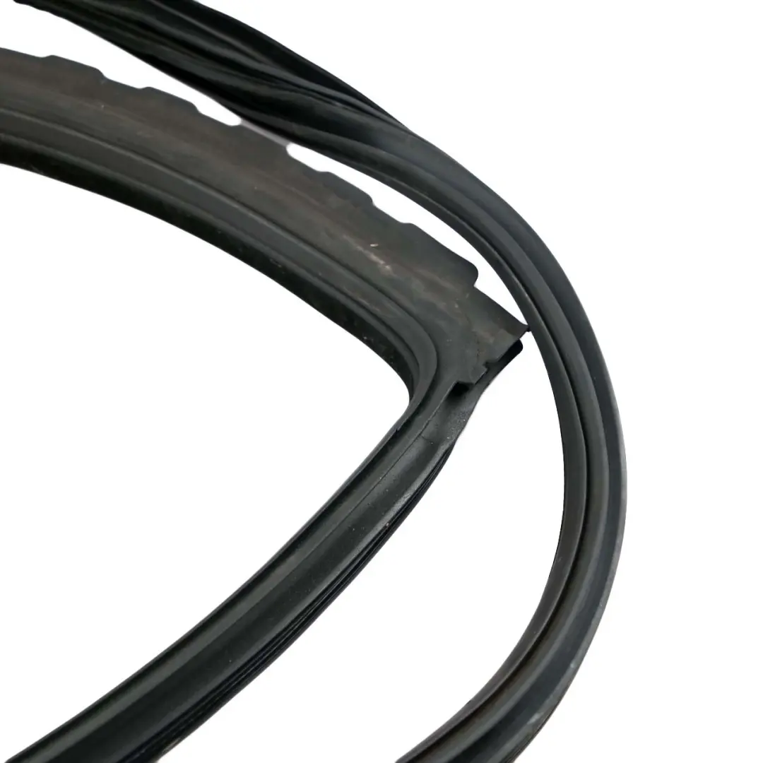 BMW F07 GT Gran Turismo Rear Left Door N/S Seal Gasket Black 7196389 - SKU 7226397 - Part number 7226397