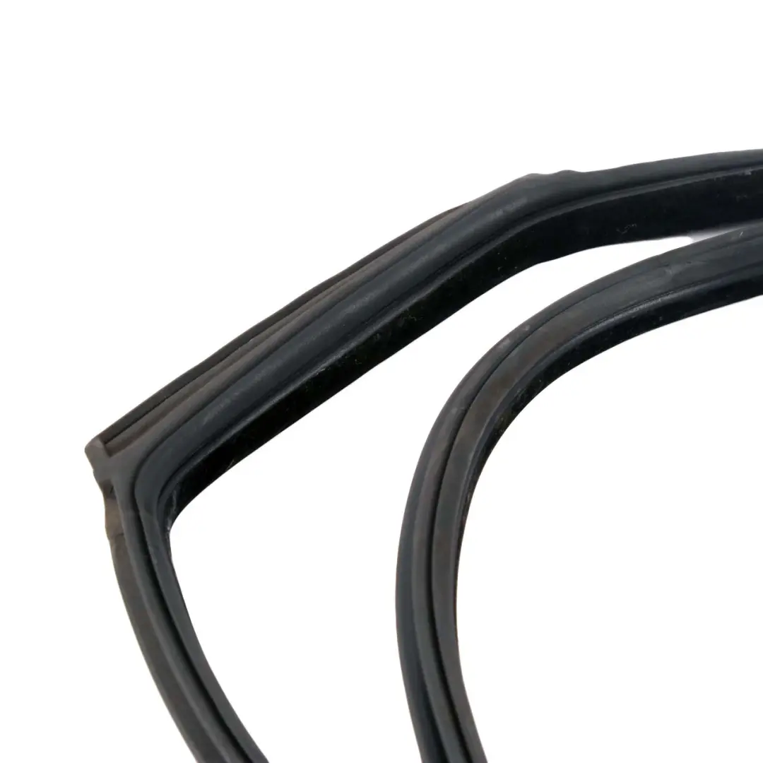 BMW F07 GT Gran Turismo Rear Left Door N/S Seal Gasket Black 7196389 - SKU 7226397 - Part number 7226397