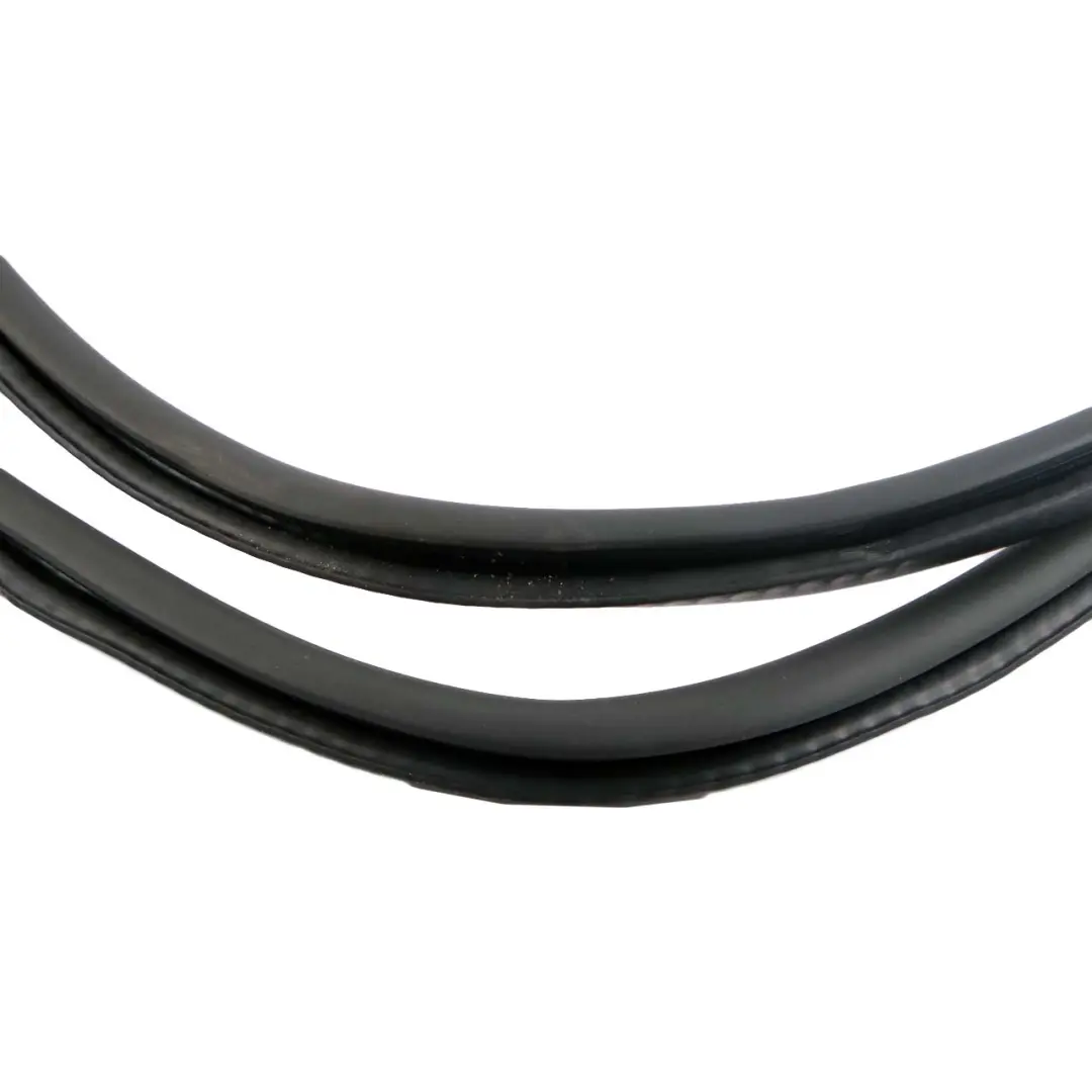 BMW 7 Series F01 F02 F04 Front Door Left Right N/O/S Seal Gasket Black - SKU 7231334 - Part number 7231334