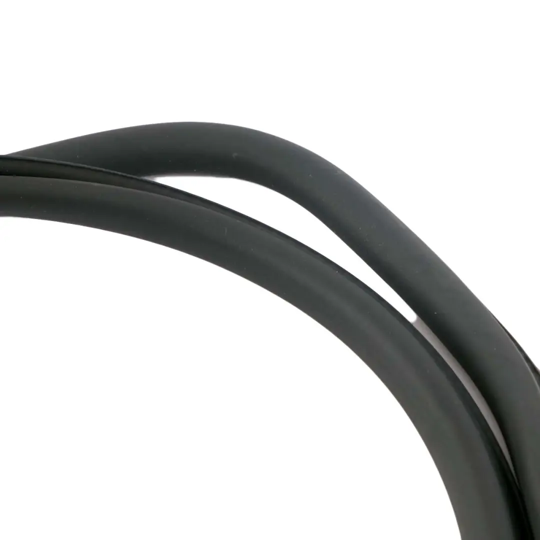 BMW 7 Series F01 F02 F04 Front Door Left Right N/O/S Seal Gasket Black - SKU 7231334 - Part number 7231334