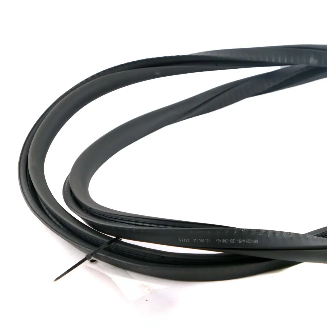 BMW F01 F04 Rear Door Left Right N/O/S Seal Gasket Black - SKU 7231341 - Part number 7231341