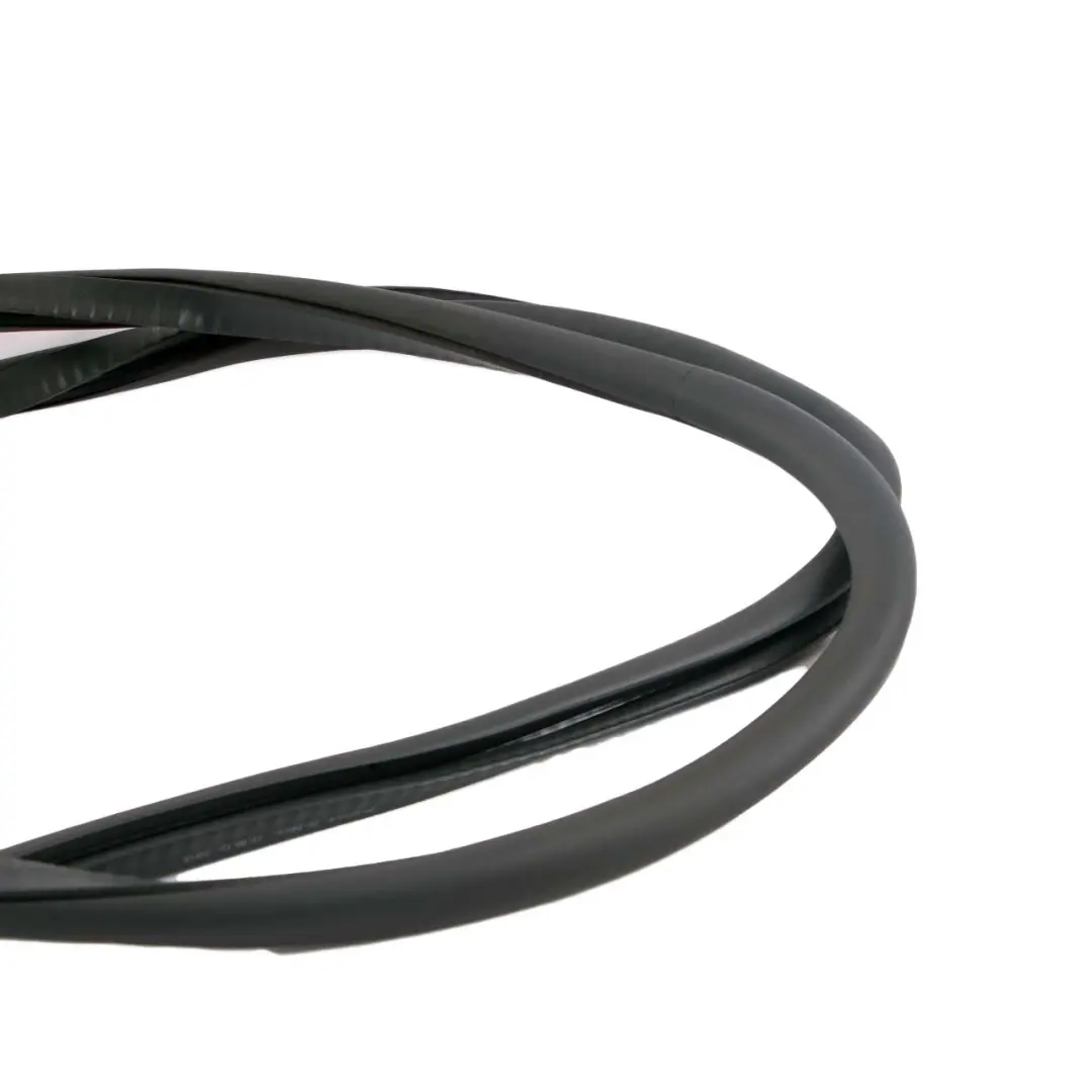 BMW F01 F04 Rear Door Left Right N/O/S Seal Gasket Black - SKU 7231341 - Part number 7231341