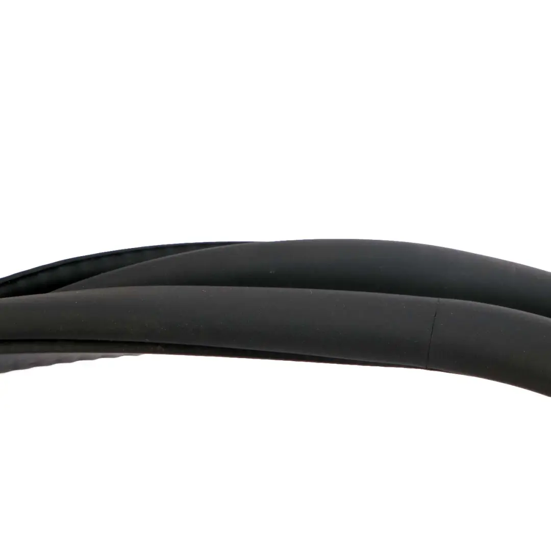 BMW F01 F04 Rear Door Left Right N/O/S Seal Gasket Black - SKU 7231341 - Part number 7231341