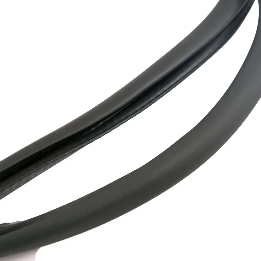 BMW F01 F04 Rear Door Left Right N/O/S Seal Gasket Black - SKU 7231341 - Part number 7231341