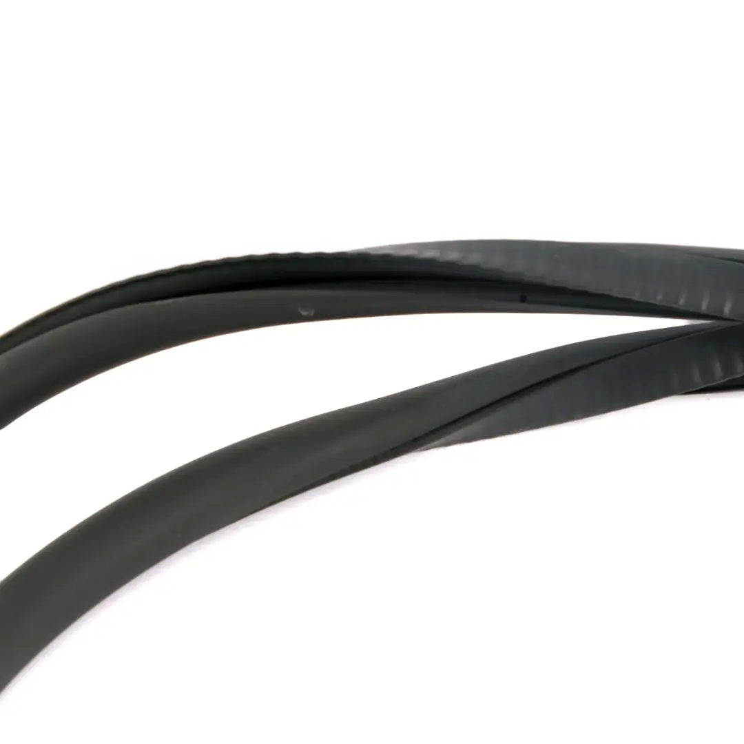 BMW F01 F04 Rear Door Left Right N/O/S Seal Gasket Black - SKU 7231341 - Part number 7231341