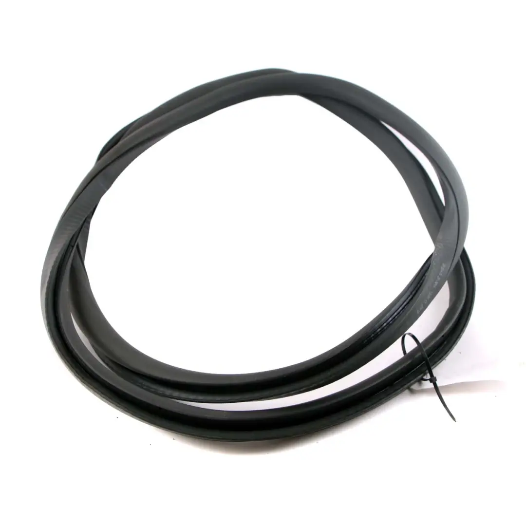 BMW F01 F04 Rear Door Left Right N/O/S Seal Gasket Black - SKU 7231341 - Part number 7231341