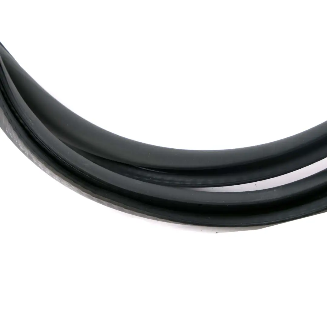 Seal Gasket Rear Door Left Right N/O/S Black to BMW F01 F04 with Part number 7231341 BMW F01 F04 Seal Gasket Rear Door Left Right N/O/S Black - SKU 7231341 - Part number 7231341