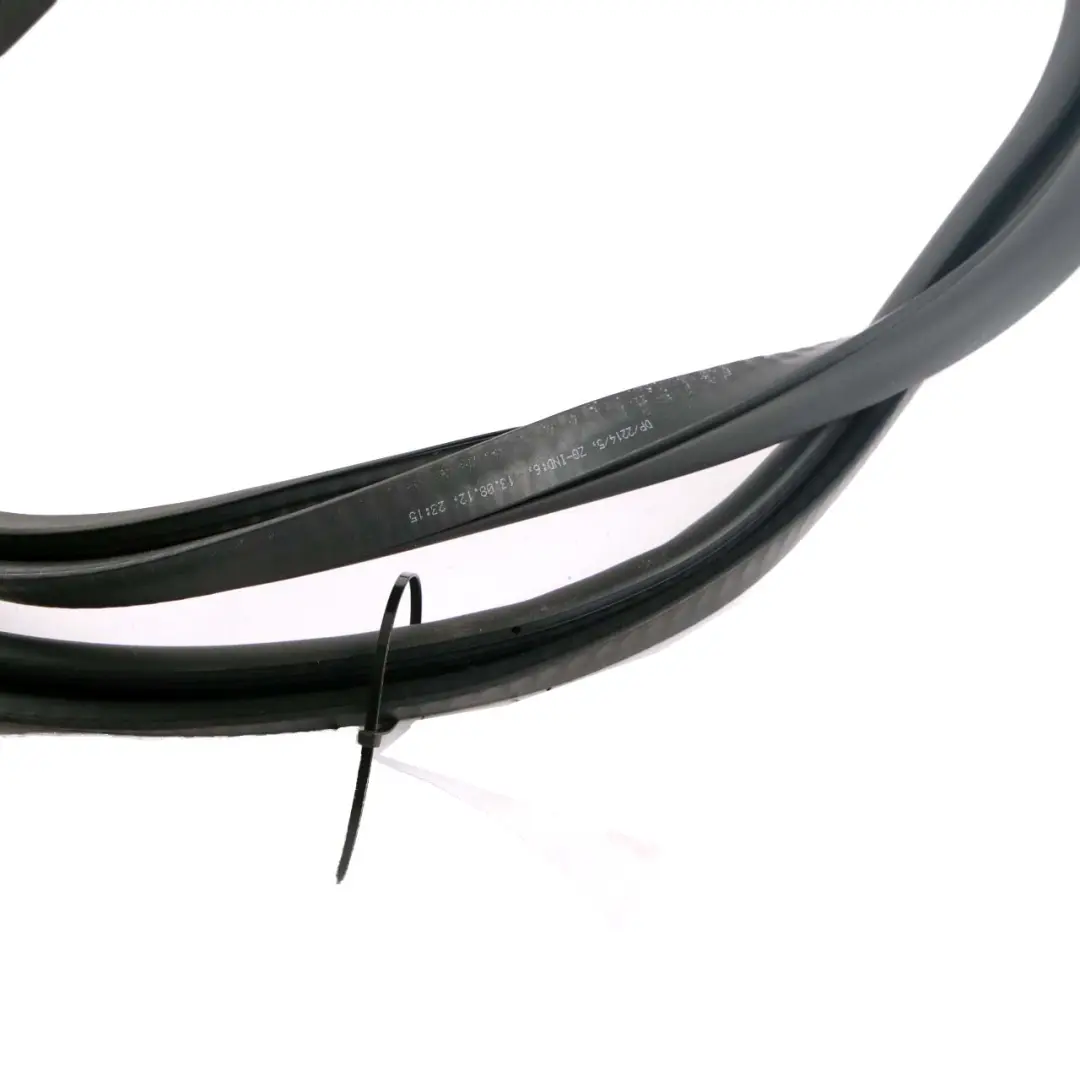 BMW F01 F04 Rear Door Left Right N/O/S Seal Gasket Black - SKU 7231341 - Part number 7231341