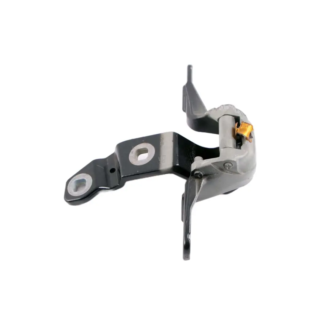  Bisagra Maletero BMW F07 GT Gran Turismo Maletero Trasero Izquierdo Negro Zafiro - SKU 7233587-BS - Número de pieza 7233587