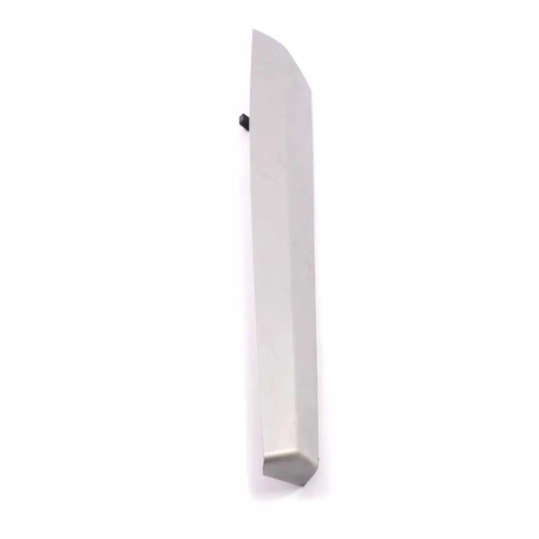 Door Strip Cover Trim Front Rear Left N/S Brushed Aluminium BMW X3 F25 - SKU 7237681 - Part number 7237681
