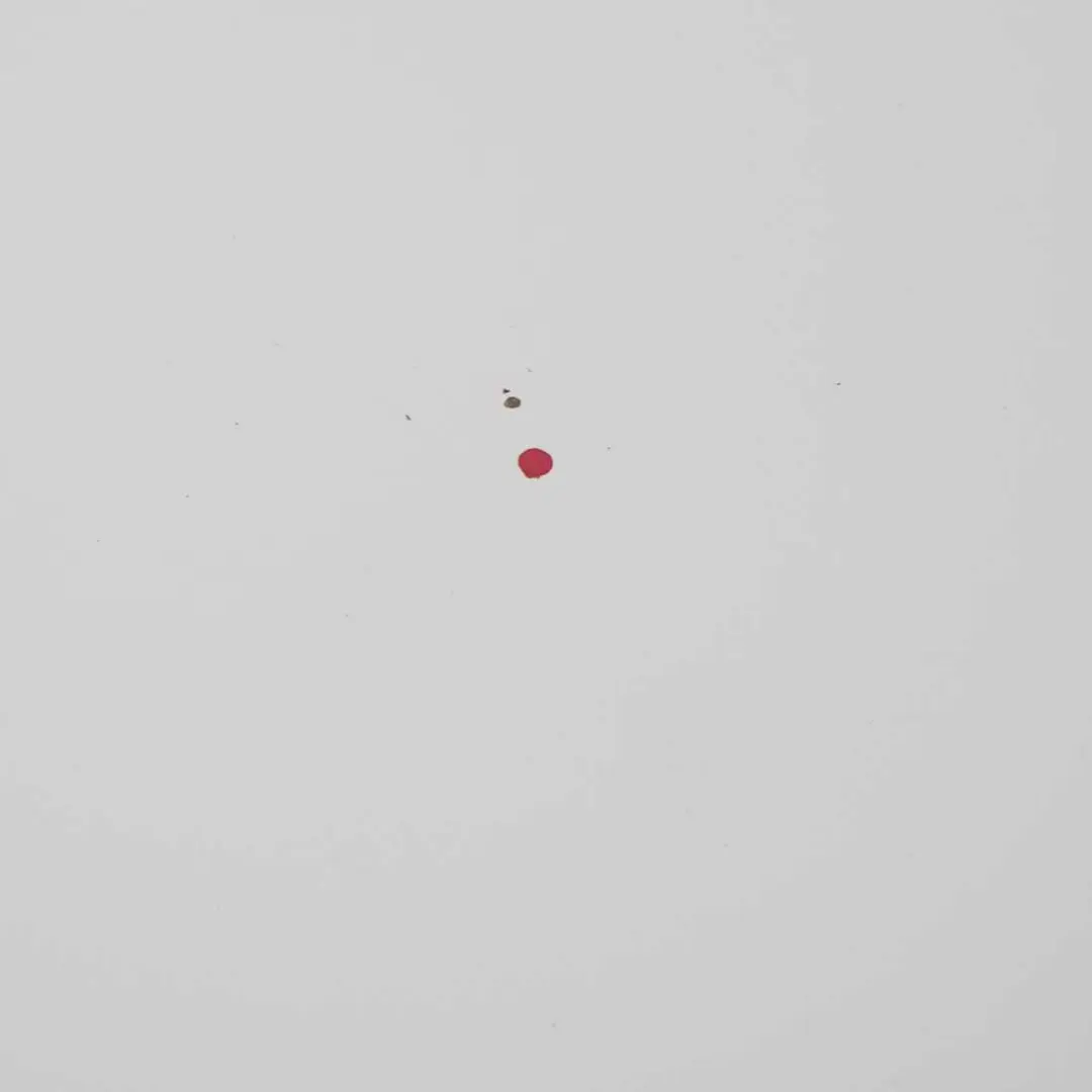 Trunk Boot Lid Tailgate Panel Alpinweiss Alpine White 3 - 300 to BMW F10 with Part number 7240552 BMW F10 Trunk Boot Lid Tailgate Panel Alpinweiss Alpine White 3 - 300 - SKU 7240552-AW1 - Part number 7240552